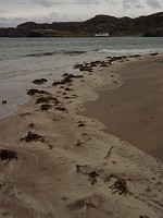 P1150630