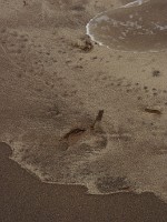 P1150631