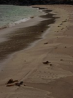 P1150634