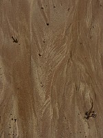 P1150231