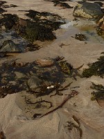 P1150235