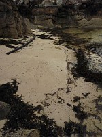 P1160448