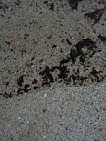 P1160450
