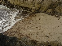 P1160474