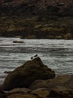 P1160524