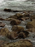 P1160526