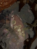 P1160528