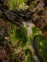 P1160530