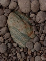 P1160531