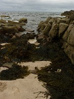P1170160