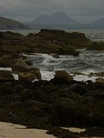P1170164