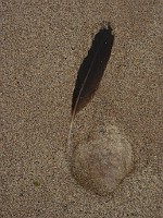 P1170437