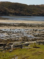 P1150330