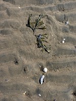 P1150331