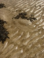P1150335