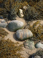 P1150343