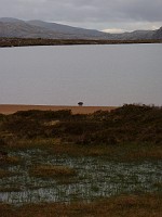 P1160303