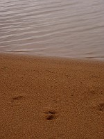 P1160306