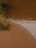 P1160312