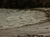 P1170360