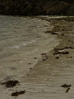 P1170366