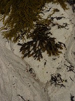 P1170341