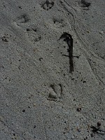 P1170348