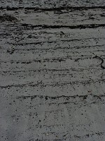 P1170349