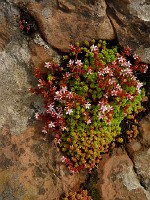 P1170203
