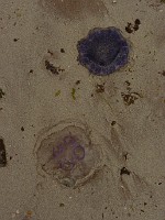 P1170211