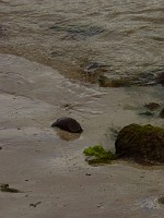 P1170213