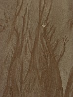 P1170216