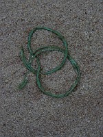 P1170218
