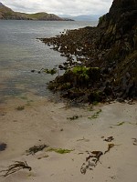 P1170220