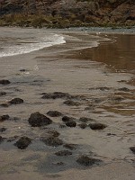 P1160319