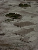 P1160330