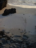 P1150405
