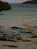 P1150608