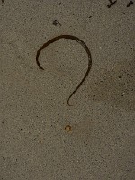 P1150620