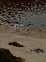 P1170129