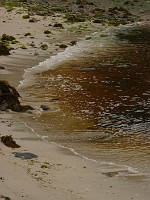 P1170130
