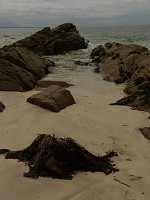 P1160254