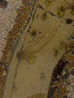 P1160259