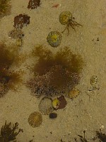 P1160260