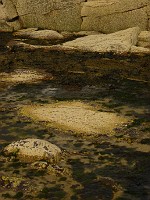 P1170298