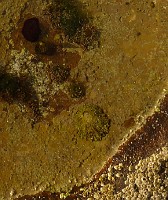 P1170299x
