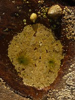 P1170300
