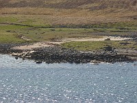 P1150384