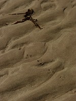 P1150539
