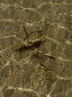 P1150548